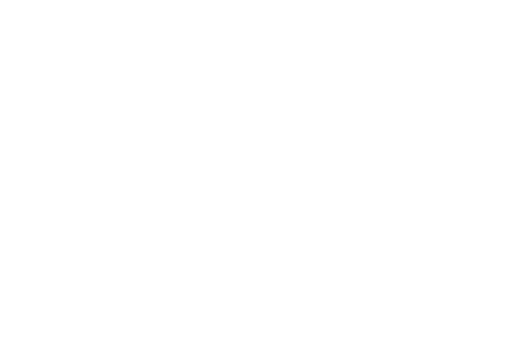 _OFFICIAL SELECTION - Chinese American Film Festival - 2018